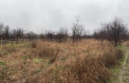 Proprietate de vânzare în Sânpaul – casă + teren mare