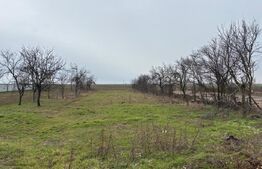 Proprietate cu livada de vanzare 1500mp , aproape de Arad