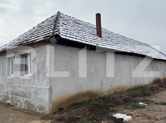 Casa de vânzare 4 camere Tisa Noua - 187054CV | BLITZ Arad | Poza8