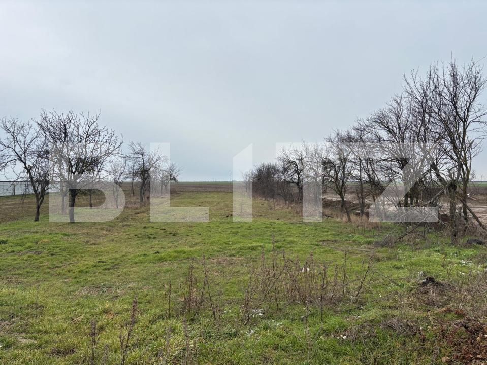 Casa de vânzare 4 camere Tisa Noua - 187054CV | BLITZ Arad | Poza2