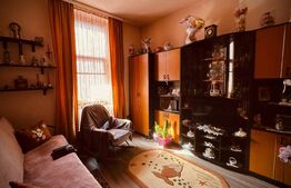 Proprietate deosebită în zona centrală Arad | 180 mp utili 