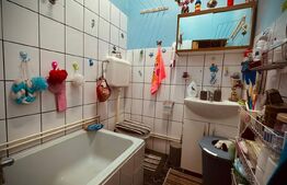 Proprietate deosebită în zona centrală Arad | 180 mp utili 