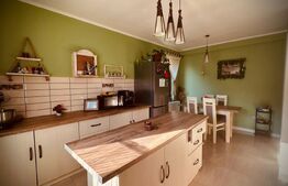 Casă pe un nivel + garsonieră în curte | 550 mp teren | terasă și pivniță