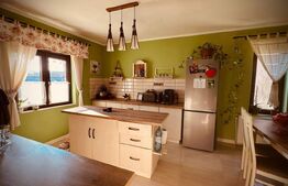 Casă pe un nivel + garsonieră în curte | 550 mp teren | terasă și pivniță