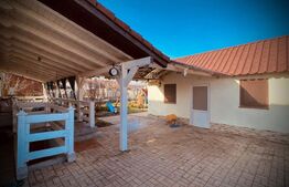 Casă pe un nivel + garsonieră în curte | 550 mp teren | terasă și pivniță