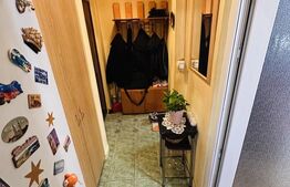 Apartament 3 camere, zona Vlaicu, Bloc renovat