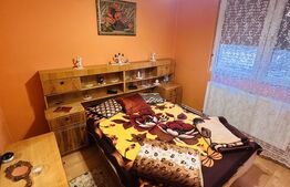 Apartament 3 camere, zona Vlaicu, Bloc renovat