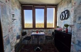 Apartament 3 camere, 110 mp, zona Micalaca - malul Mureșului