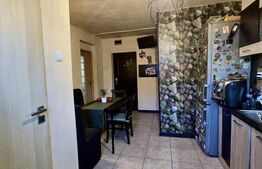 Apartament 3 camere, 110 mp, zona Micalaca - malul Mureșului