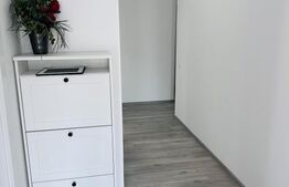 Apartament de inchiriat, 45 mp, zona UTA