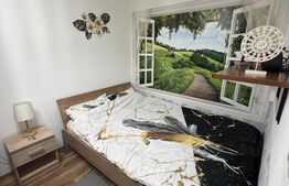 Apartament 2 camere, 40 mp, zona Intim