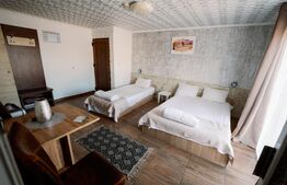 Pensiunea Johanna, 1000 mp, zona Micalaca