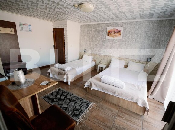 Spațiu comercial de vânzare Micalaca - 190708SVC | BLITZ Arad | Poza10