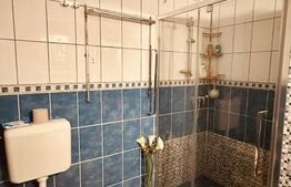 Casă Modernă - Spații generoase, teren amplu și confort ridicat