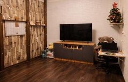 Apartament 2 camere, 45 mp, zona Central