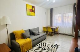 Garsoniera de inchiriat, 35 mp, zona Confectii