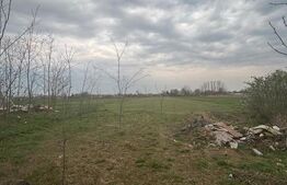 Casă spațioasă, 177 mp construiți, teren 3400 mp, 5 camere, cazan pe lemne