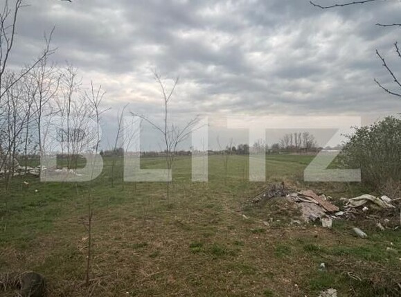 Casa de vânzare 4 camere Iratosu - 191641CV | BLITZ Arad | Poza9
