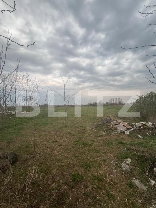 Casa de vânzare 4 camere Iratosu - 191641CV | BLITZ Arad | Poza9