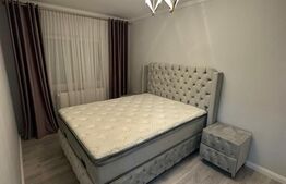 Apartament 2 camere, zona Micalaca