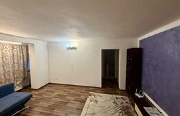 Apartament 2 camere, 80 mp, zona Ultracentral - Podgoria 