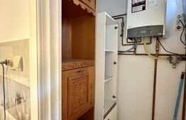 Apartament 4 camere, Central