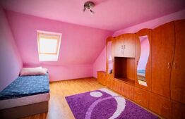 Casă modern renovată cu P+E în Miniș | Liniște si Confort deplin