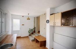 Casă modern renovată cu P+E în Miniș | Liniște si Confort deplin