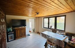 Casă modern renovată cu P+E în Miniș | Liniște si Confort deplin