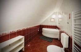 Casă modern renovată cu P+E în Miniș | Liniște si Confort deplin