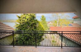 Casă modern renovată cu P+E în Miniș | Liniște si Confort deplin