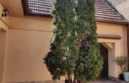 Casă individuală renovată, 85 mp, zona Centru