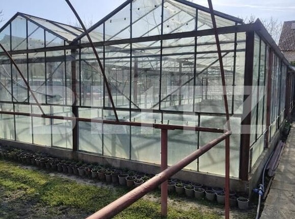 Casa de vânzare 3 camere Gai - 192691CV | BLITZ Arad | Poza9