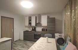 Casa Semlac renovata, langa Mures