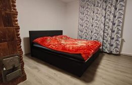 Casa Semlac renovata, langa Mures