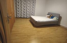 Casa Semlac renovata, langa Mures