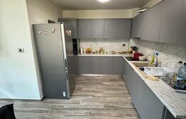 Casă modernă, cu saună, 7 camere, pompă de căldură și panouri fotovoltaice