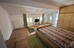 Casă modernă, cu saună, 7 camere, pompă de căldură și panouri fotovoltaice