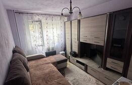 Apartament cu 2 camere, Banu Mărăcine- Arad