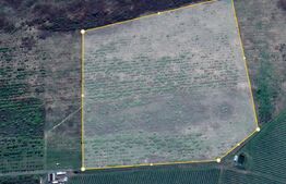 Teren extravilan 4,5ha Lipova