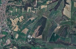 Teren extravilan 4,5ha Lipova