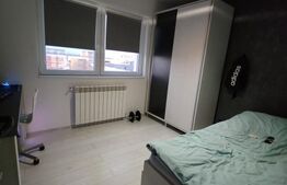 Apartament cu 3 camere, zona Aurel Vlaicu, Bloc renovat