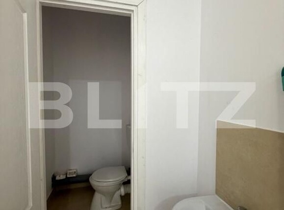 Spațiu comercial de închiriat Banu Maracine - 193239SIC | BLITZ Arad | Poza6