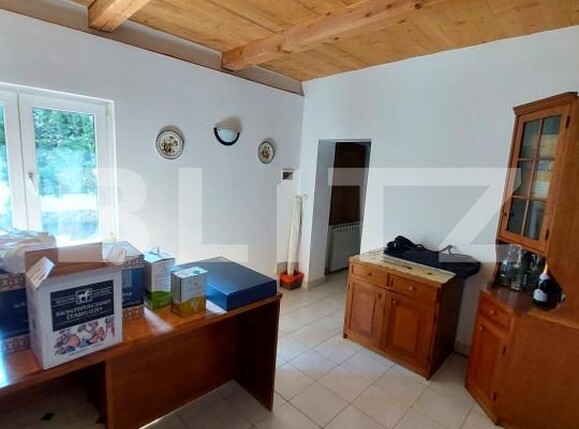 Casa de vânzare 7 camere Gradiste - 193275CV | BLITZ Arad | Poza7