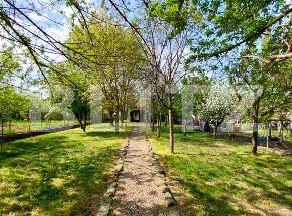 Casa de vânzare 7 camere Gradiste - 193275CV | BLITZ Arad | Poza20