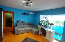 Apartament 2 camere - zona Micalaca