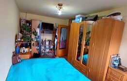 Apartament 2 camere - zona Micalaca