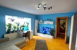 Apartament 2 camere - zona Micalaca