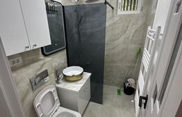 Apartament 2 camere, zona Podgoria