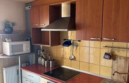 Apartament 2 camere, 87 mp, zona Intim 